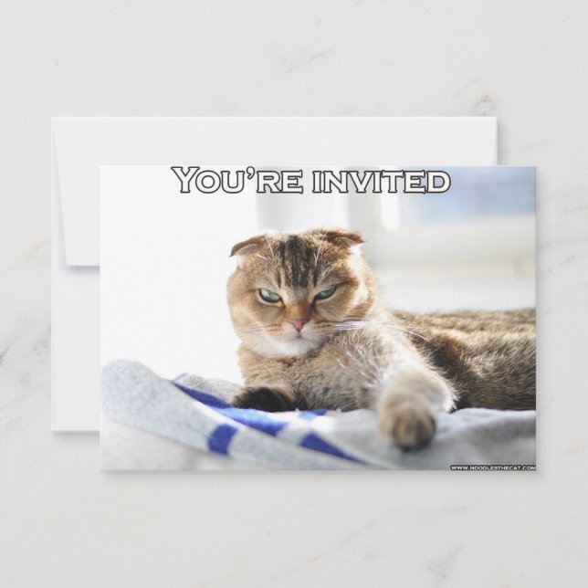 Convite bonito do gato para um partido (Frente)