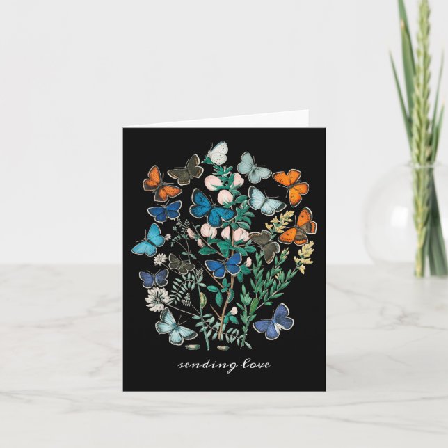 Convite Borboletas e mariposas antigas coloridas (Frente)