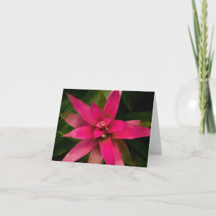 Convite Bromélia em Bloom