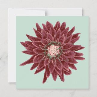 Convite Burgunder-Dahlie