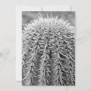 Convite Buzz Cut Cactus (Deserto AZ Sonoran)