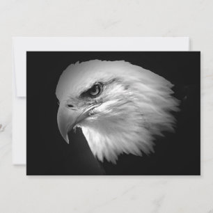 Convite BW Bald American Eagle