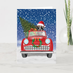 Convite Cachorro Boxer Dirigindo Carro na Neve Natal