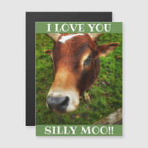 Cartão-postal magnético