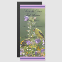 Casamento de Jardim Primavera Goldfinch