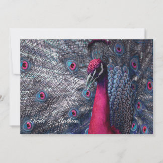 Convite casamento Pavão