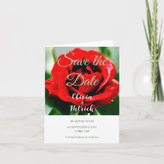 Convite Casamento Rosa Vermelha Salvar a Data