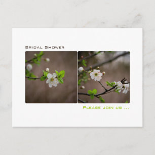 Convite Cherry Blossom - Cartão postal do Chá de panela