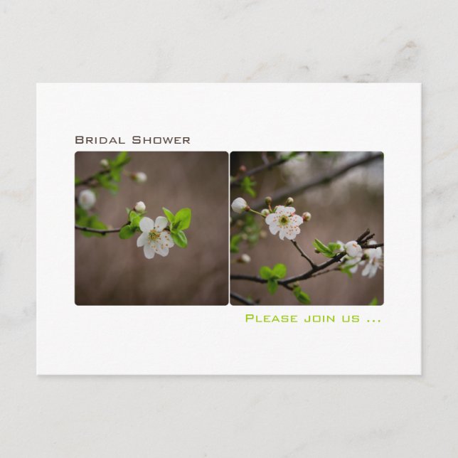 Convite Cherry Blossom - Cartão postal do Chá de panela (Frente)