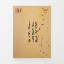 Serenidade na Praia com Foto Tudo em Um Casamento