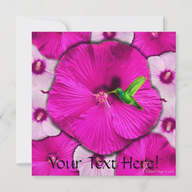 Convite cor-de-rosa do hibiscus e do colibri (Frente)