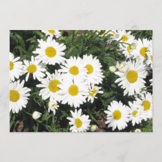 Convite da flor da margarida