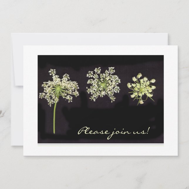 Convite da Rainha Anne's Lace (Frente)