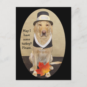 Convite de Ação de Graças