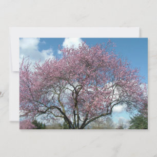 convite de aniversário