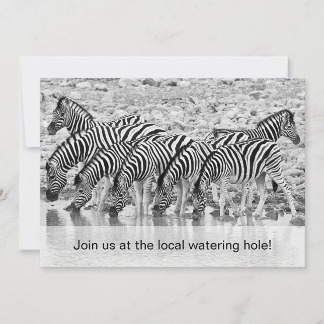 Convite de Aniversário Africano Safari Zebra Engra (Frente)