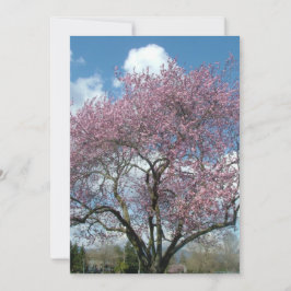 convite de aniversário árvore de cerejeira em flor