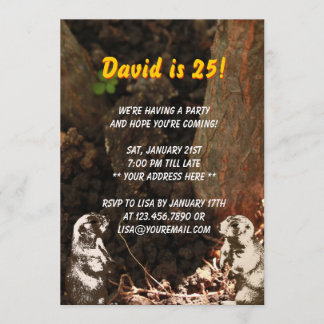 Convite de aniversário bonito de Groundhogs