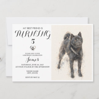 Convite de Aniversário de Animal de Estimação em A