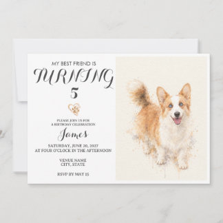 Convite de Aniversário de Animal de Estimação em A
