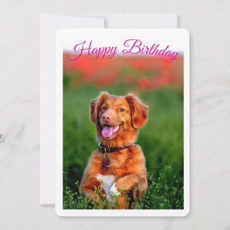 Convite de Aniversário de Cachorrinho Fofinho