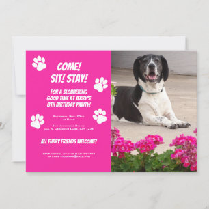 Convite de aniversário de Modelo de Foto de Cão 