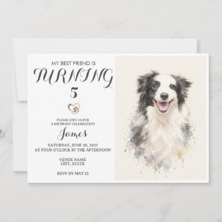 Convite de Aniversário de Pet em Aquarela