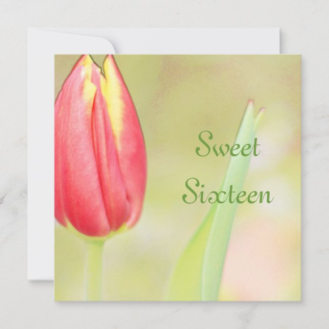 convite de aniversário de sweet sixteen de tulipa  (Frente)
