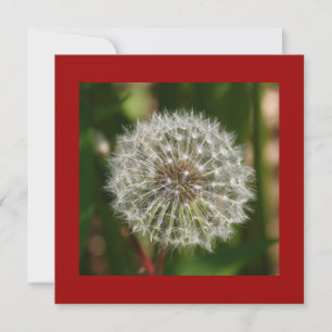 Convite de aniversário de Verão