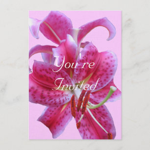 Convite de Aniversário — Estrutura de Stargazers