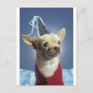 Convite de Aniversário para Cães de Festa