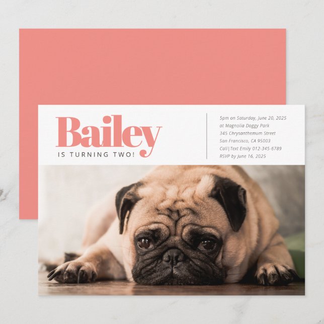 Convite de Aniversário para Fotografia de Cão Cãoz (Frente/Verso)