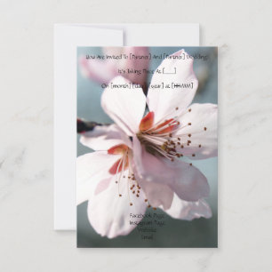 Convite de casamento com flor de cerejeira em flor