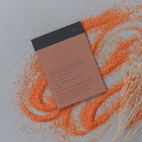 Convite de casamento de Orçamento do Terracotta Ne