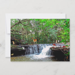 Convite de Fadas do Veado da Floresta Encantada