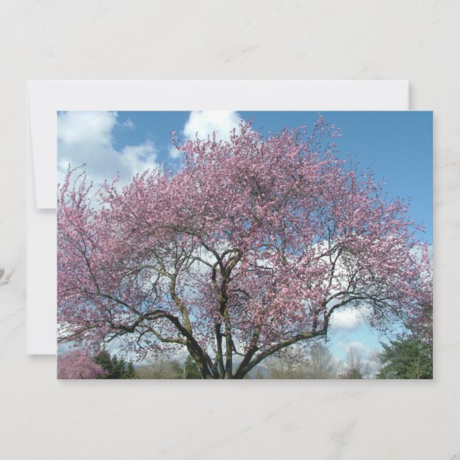 convite de festa de aniversário (Frente)