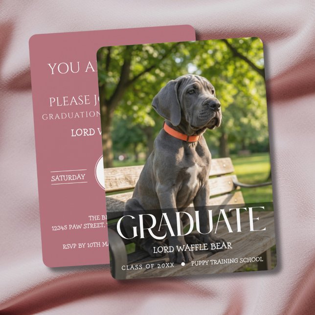 Convite de Festa de Formatura de Cachorro Foto do  (Rose Gold Dog Graduation Invitation cards)
