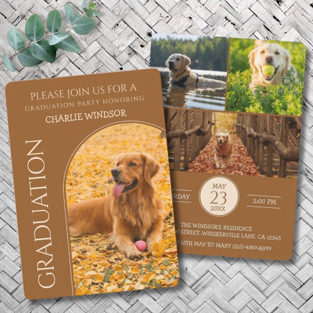 Convite de Festa de Formatura de Cachorro Fotos de (Dog Graduation Invitation cards)