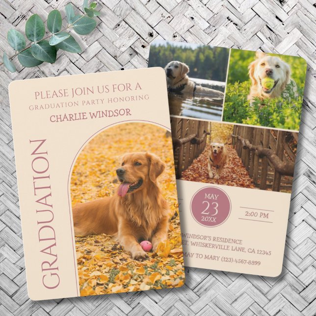 Convite de Festa de Formatura de Cachorro Fotos de (Dog Graduation Party Invitation cards)