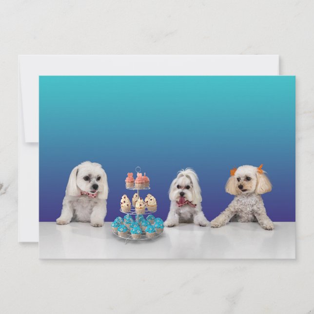 Convite de festa personalizável plano 5x7 (Frente)