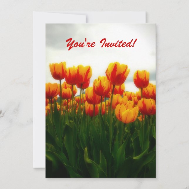Convite de festas Bonito Tulips (Frente)