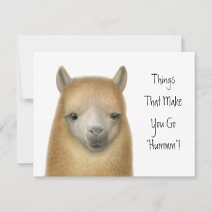 Convite de festas da alpaca