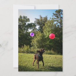 Convite de festas de chocolate