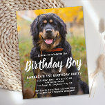 Convite de festas de Fotografia Pet de Aniversário<br><div class="desc">Aniversário! Convide amigos e familiares para a sua festa de aniversário de cachorros ou cachorros com este simples cartão de convite de aniversário de design de cachorro para o seu aniversário. Adicione a foto favorita do seu filhote e personalize com nome, número de aniversário e todas as informações de festa...</div>