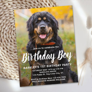 Convite de festas de Fotografia Pet de Aniversário