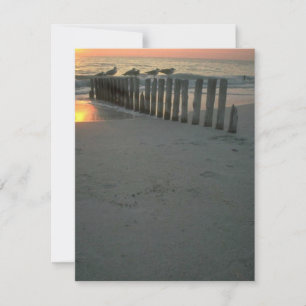 Convite de festas de Praia do Campo de Algodão de 