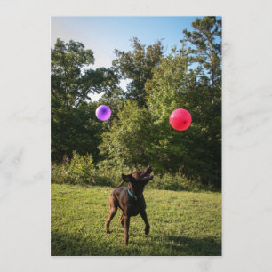 Convite de festas do laboratório do chocolate