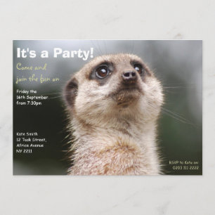 Convite de festas Meerkat