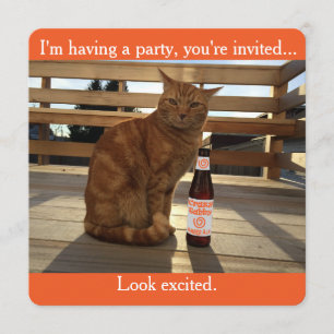 Convite de festas que caracteriza um gato
