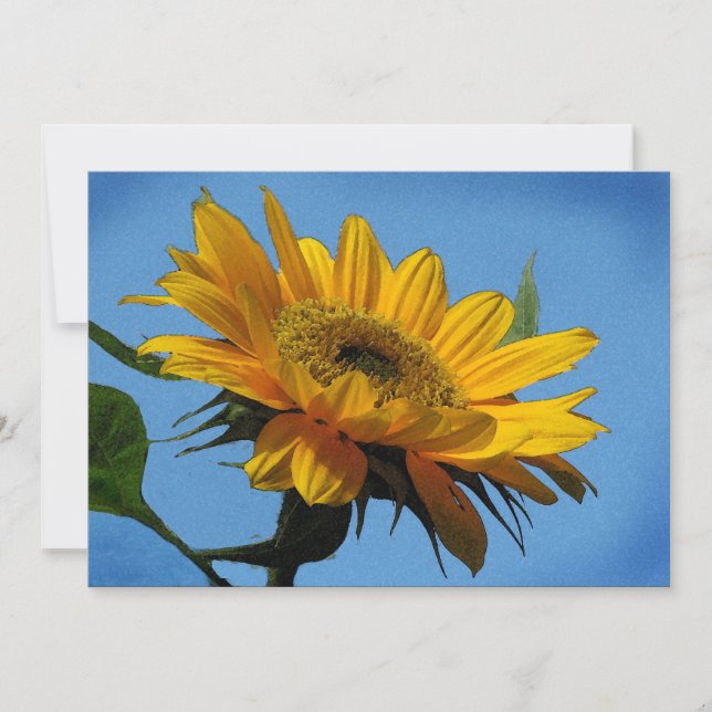 Convite de festas Solstício de Verão (Frente)